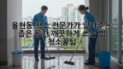 🏠 율현동 청소 전문가가 알려주는 ✨ 좁은 공간 깨끗하게 쓰는 법! #청소꿀팁