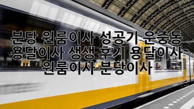 🚚💨 분당 원룸이사 성공기: 운중동 용달이사 생생 후기! #용달이사 #원룸이사 #분당이사